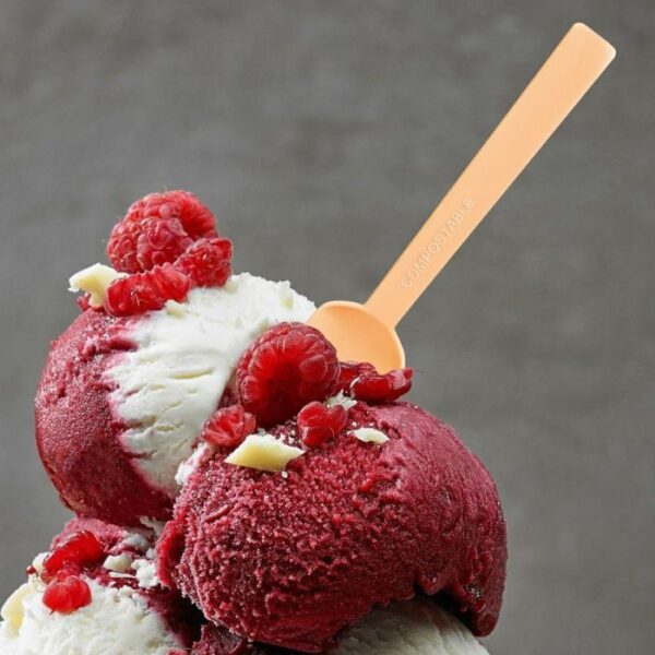 Łopatka do lodów HAWAII 9.5cm łososiowa